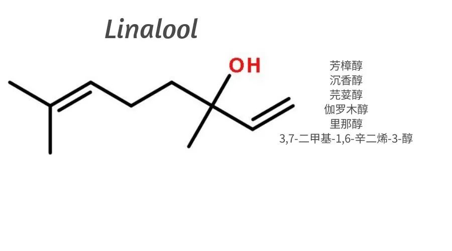 調香合成原料學習|芳樟醇