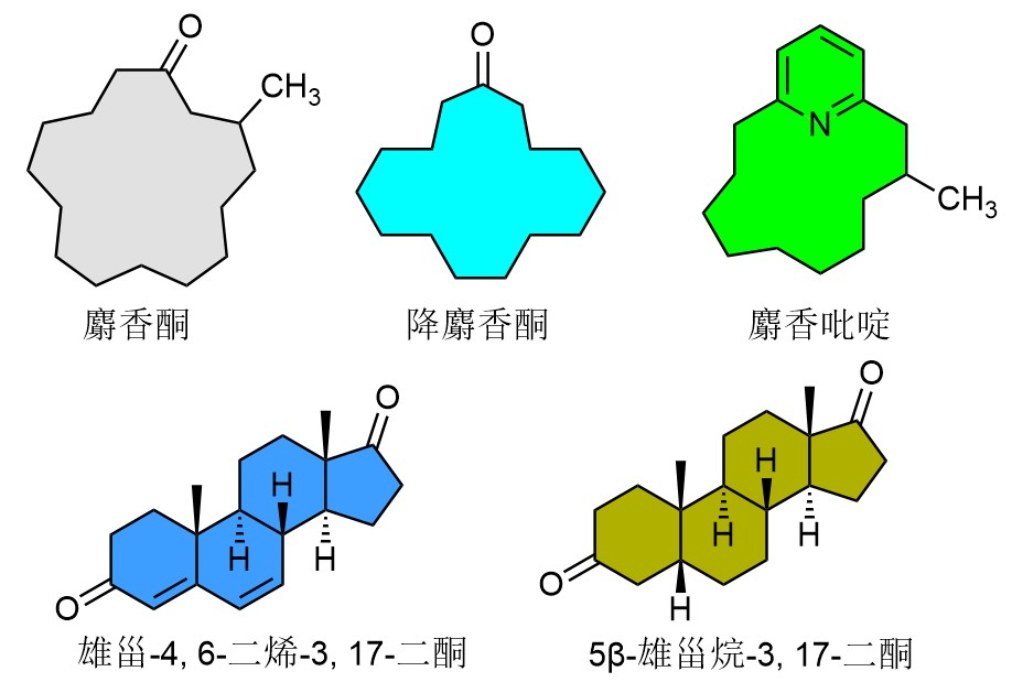 香精與香料(17)-香型與分子結構特征的關系