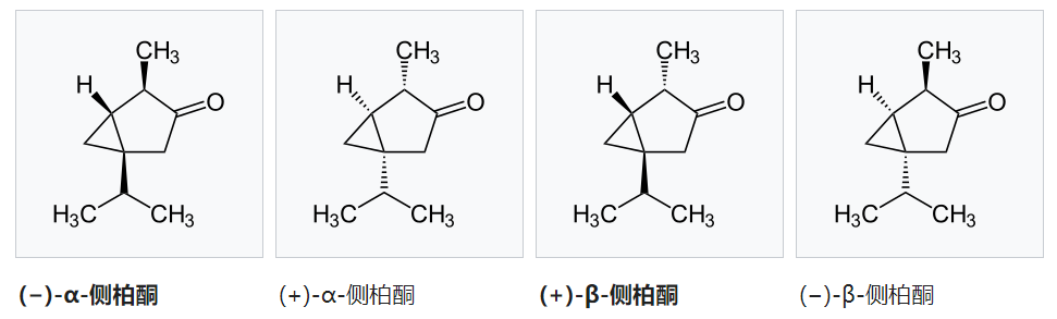 香精與香料(48)—側柏酮(Thujone)與側柏