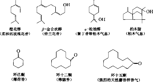 香水的香氣從何而來？