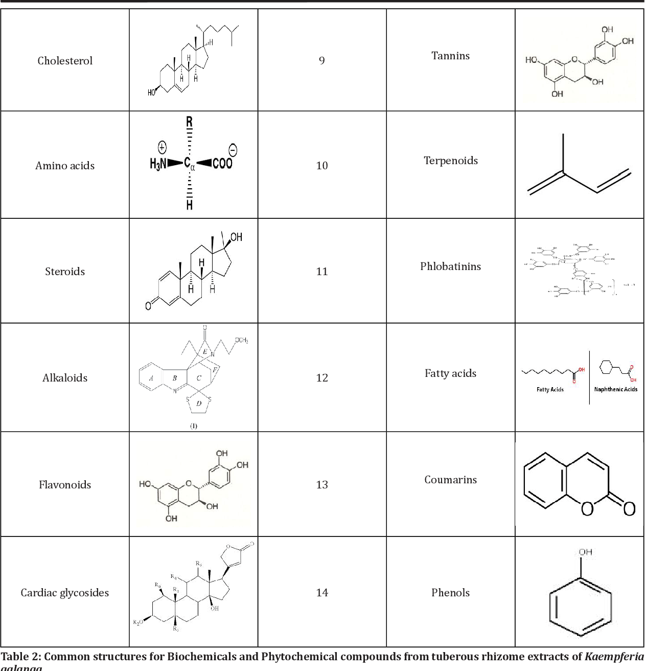 香精與香料(103)—山奈