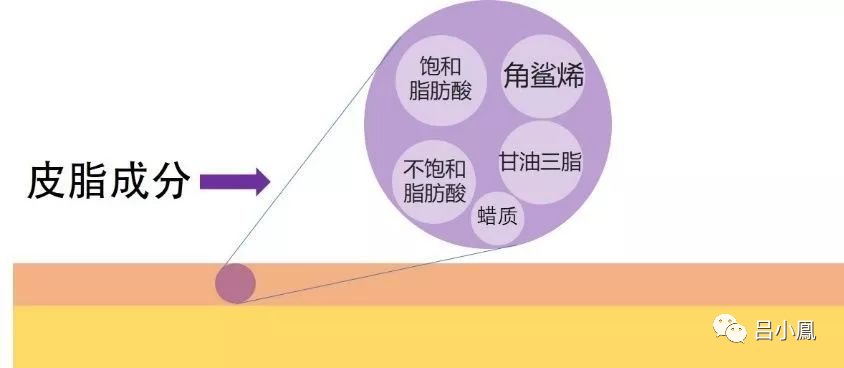 2022年護膚熱門功效成分有哪些？