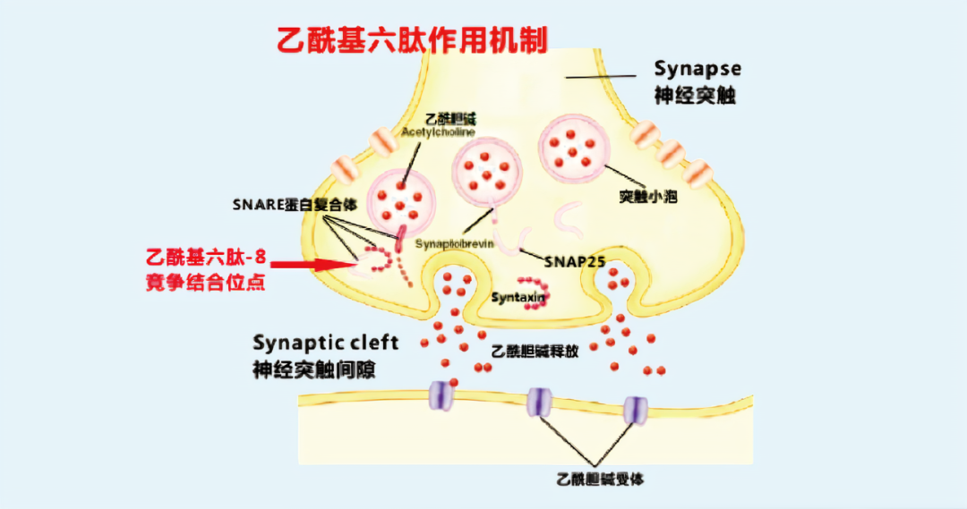 2022年護膚熱門功效成分有哪些？