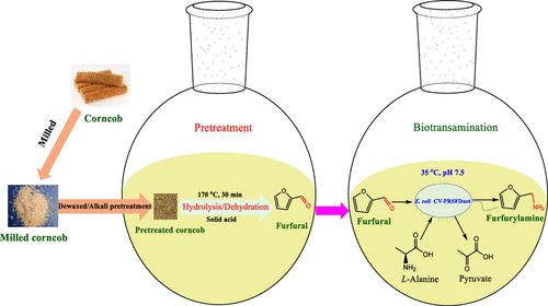 農業廢物作為微生物香精生產基質的潛力研究