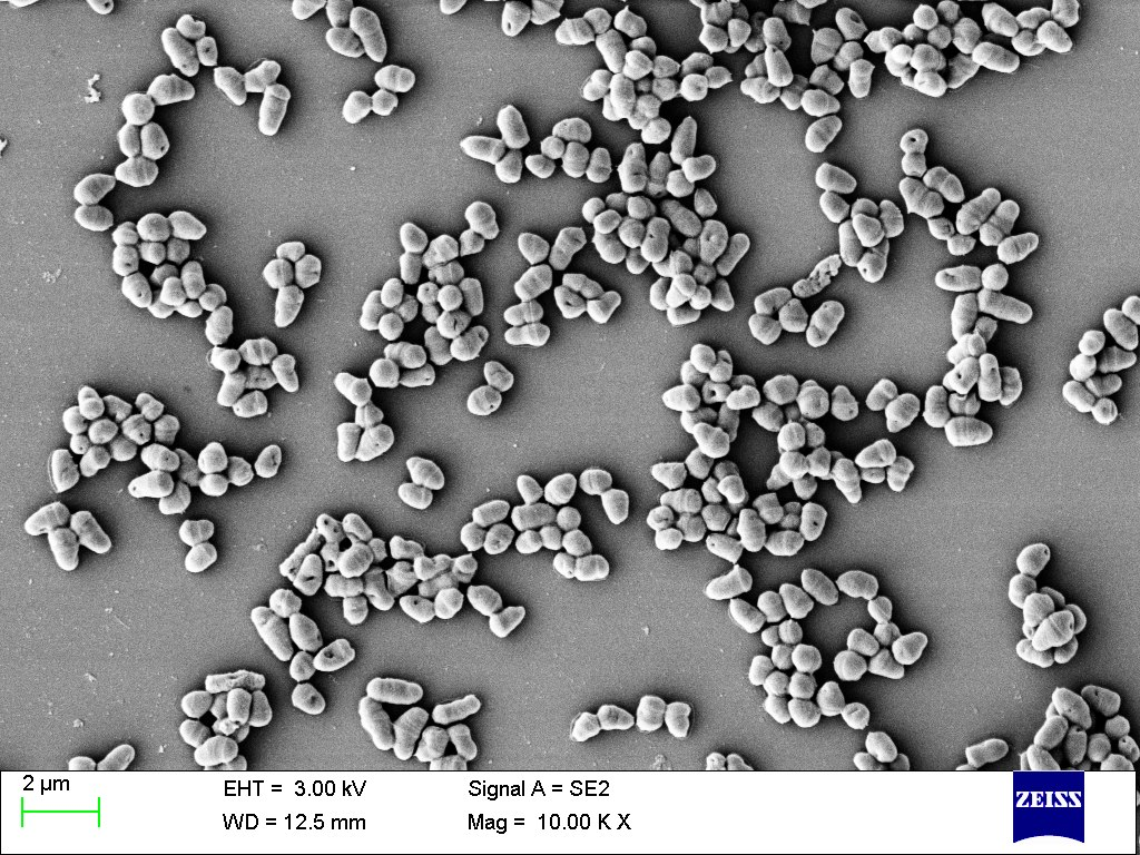 農業廢物作為微生物香精生產基質的潛力研究