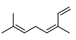 香水中的灌木叢氣息