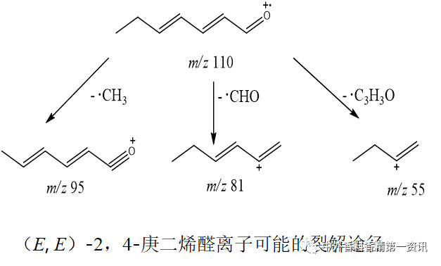 氣相色譜-質(zhì)譜定性分析